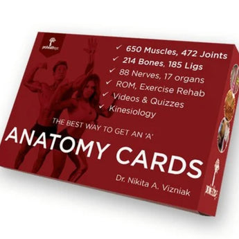 Dr. Nikita Vizniak - Anatomy Cards