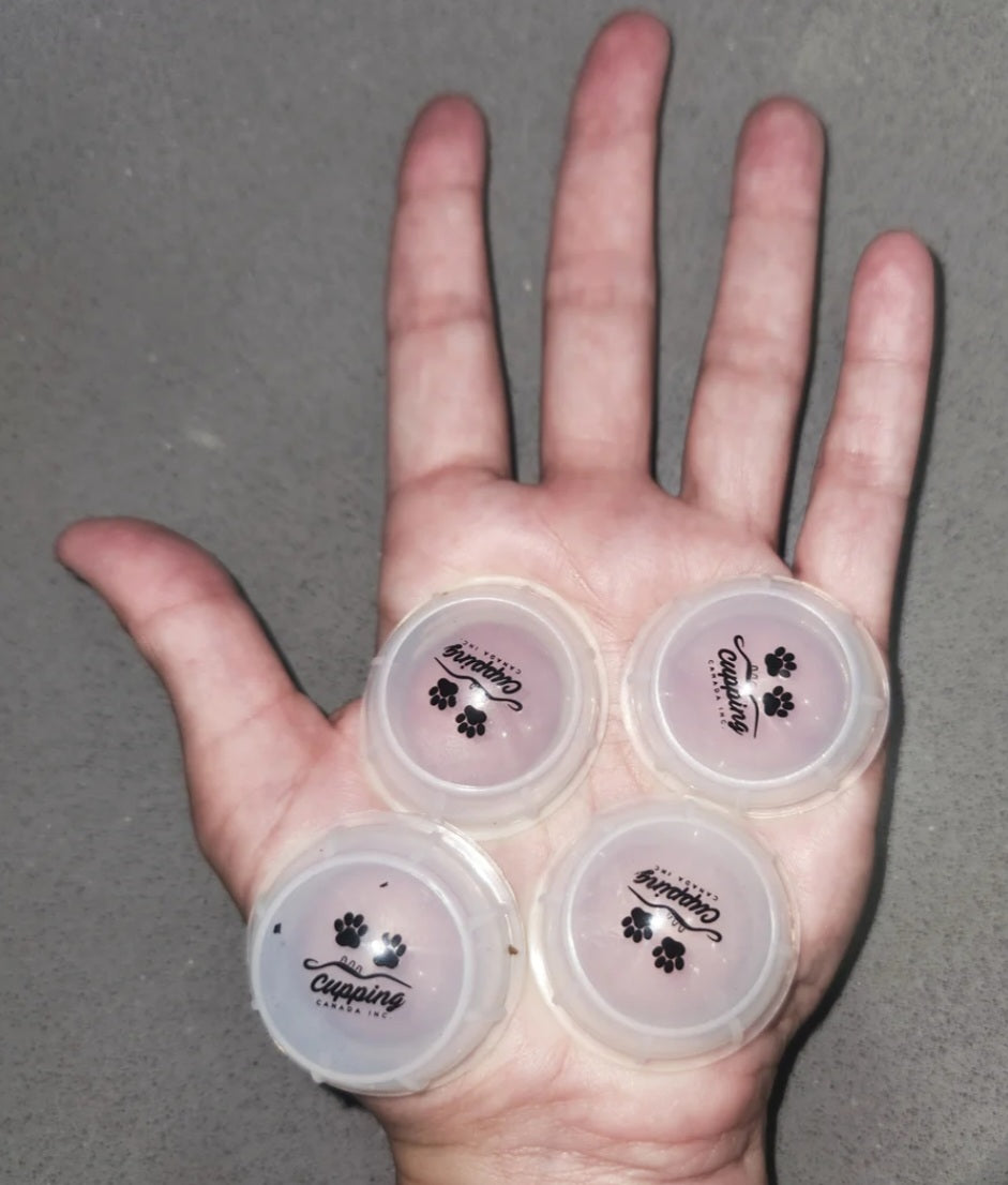 Compact Cups – Cupping Canada